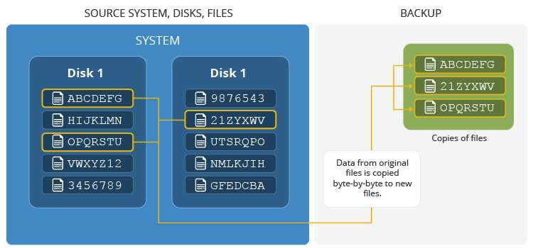 Backup And Recovery 101: The Basics - Infrascale